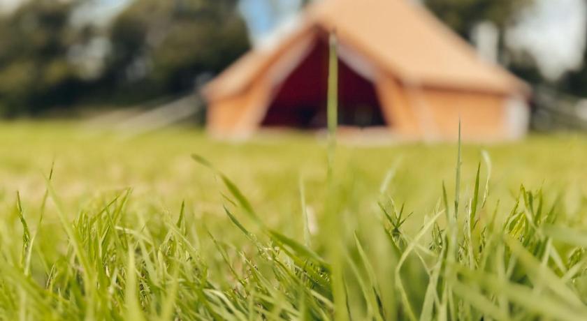 Fully Furnished Bell Tent 1