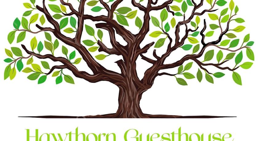 Hawtհorn Guestհouse