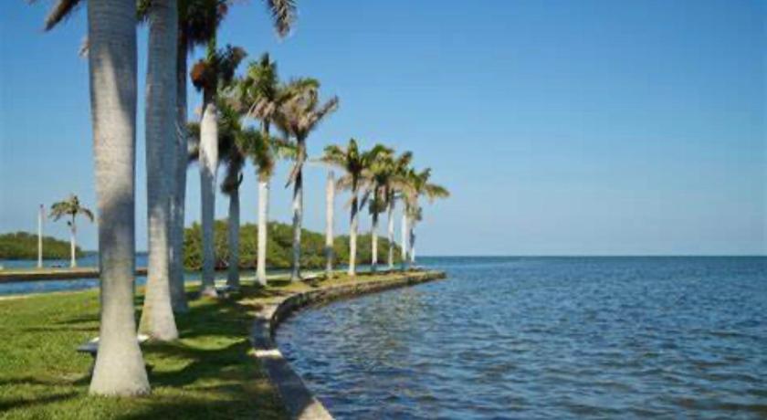 My Garden in Miami Florida