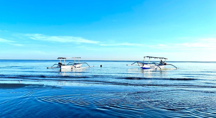 Dolphin Tour Private Villa Packet At Seririt