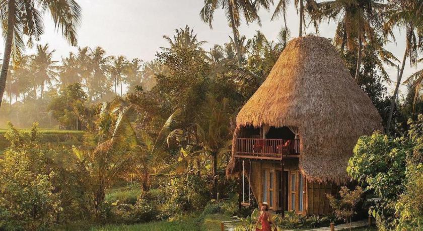 DD Bamboo Lodge