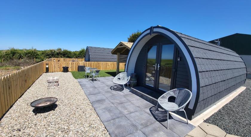 Ballyhemlin pods - Blackthorn