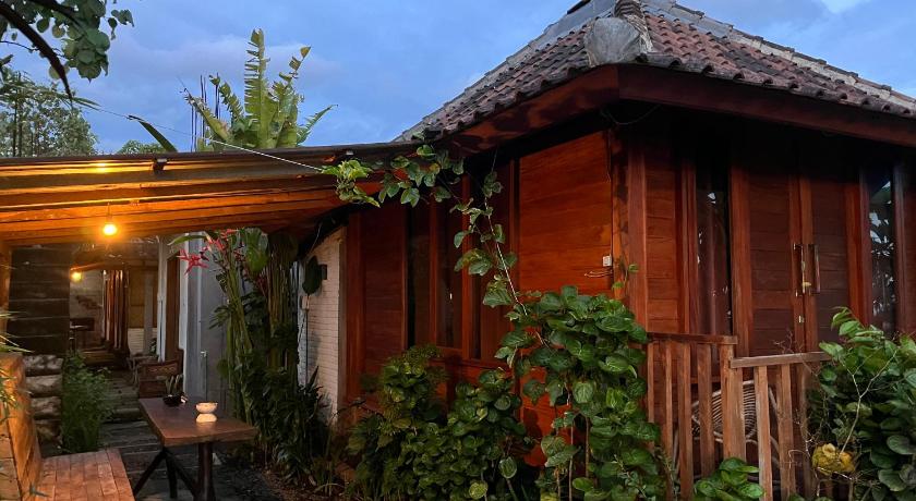 Ayolah surf House &Surf Camp