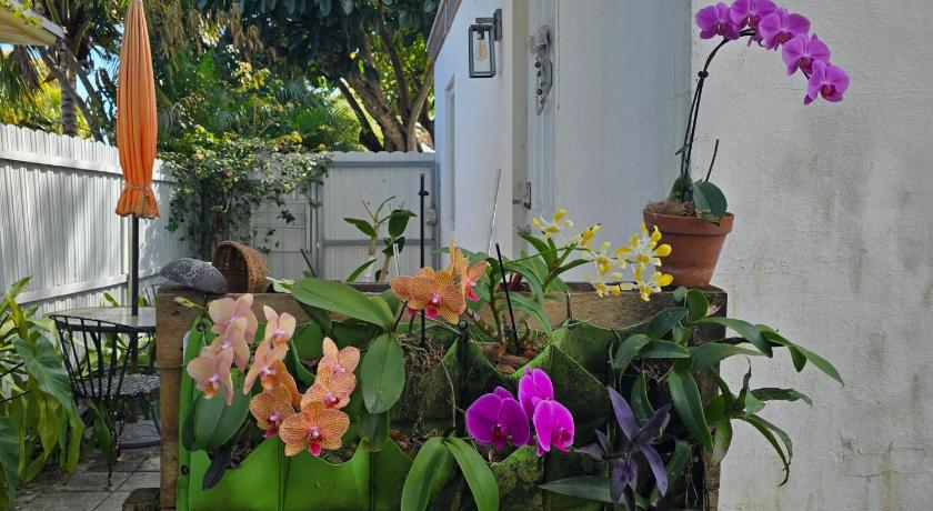 Suite Life at Chez Mercedes