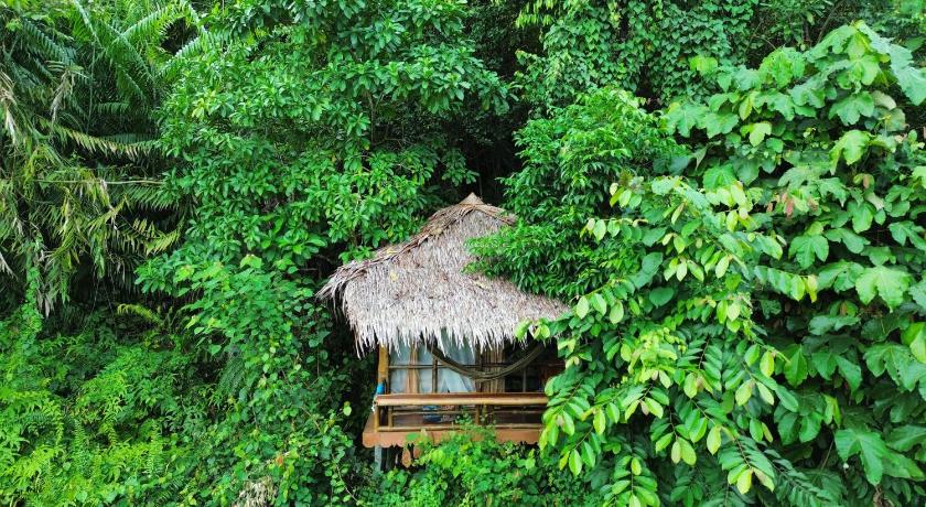 TheJungleGuide - Lodges & Treks