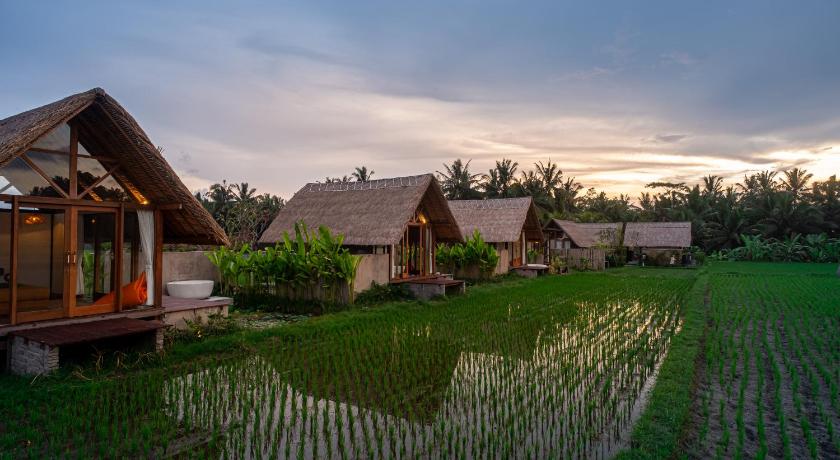 Pondok Mawas