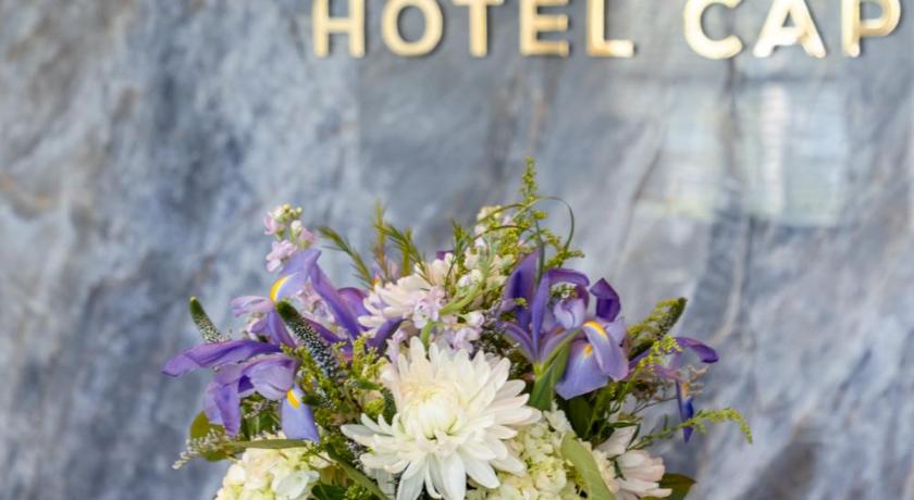 Hotel Cape Cod