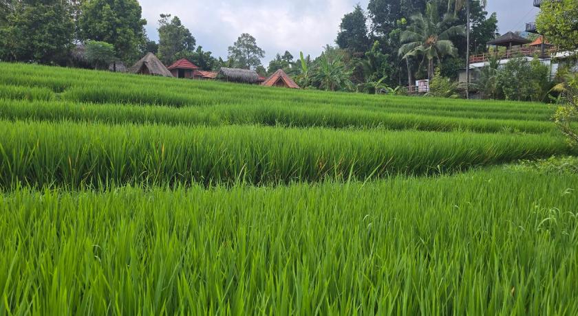 Uma Nirmala Aling-Aling