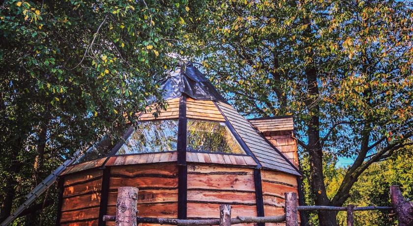 Stargazer Cabin