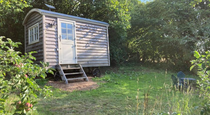 The Orchard Hut