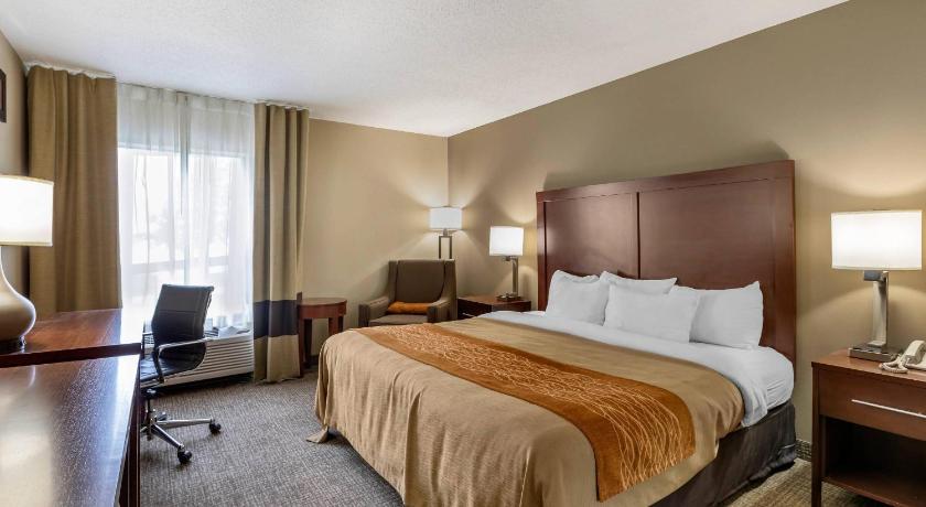 Comfort Inn Walcott near Davenport