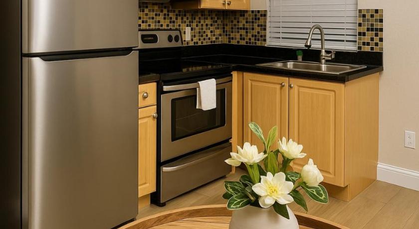 Downtown Miami full apartment with kitchen