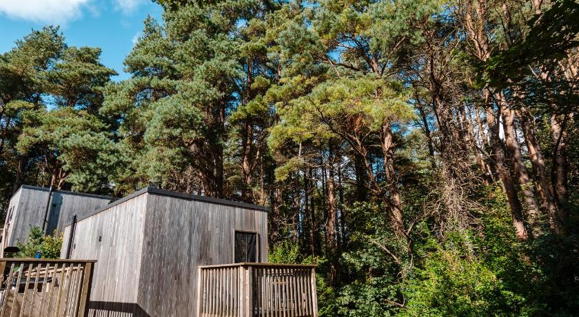 Burrenmore Nest - Luxury Forest Lodges with Hot Tubs & Sauna