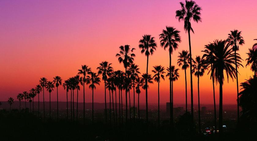 The Palomino - AMAZING Chic-Luxe, Private, Guest House - Pool, Sauna, Free Parking