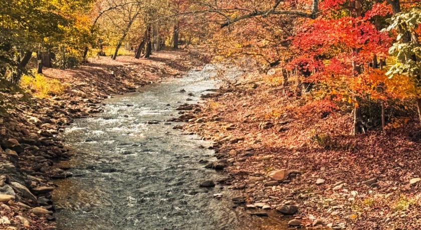 Cozy Creek Cottages