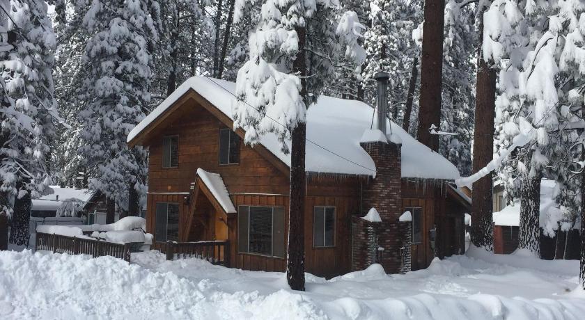 Paradise in cedar #2095