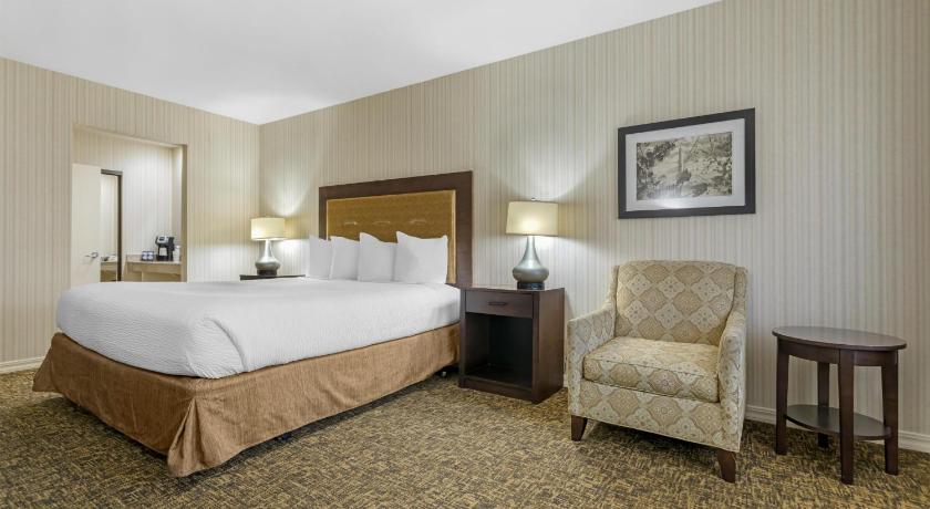 Best Western Plus Big America