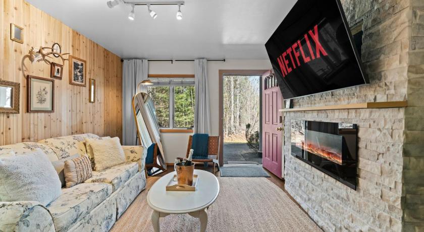 Ski in Ski Out Cabin Hunter Mtn Seasonal Pool Access w Panoramic Views Hike Swim Fish Recharge