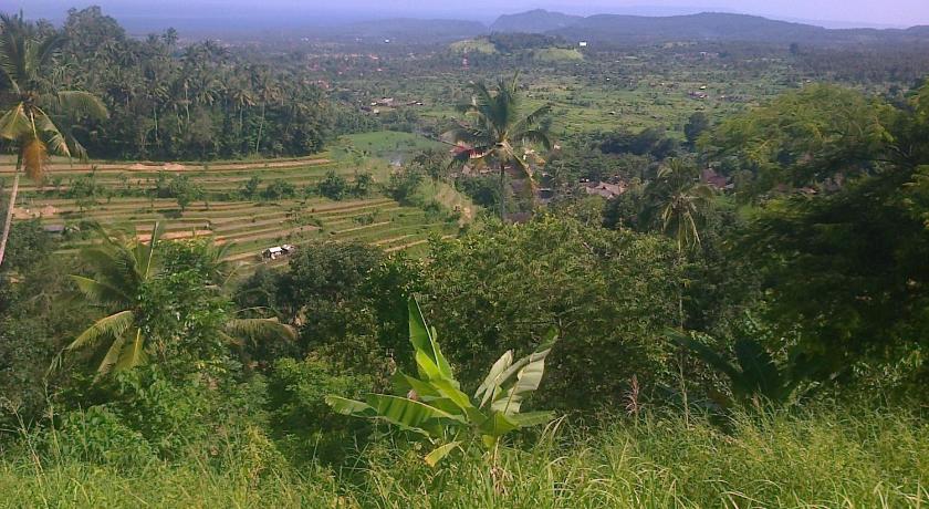 Pondok Alam Bukit