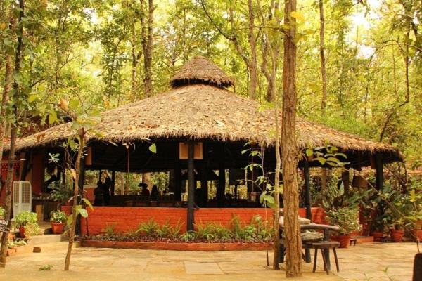 Kanha Jungle Lodge
