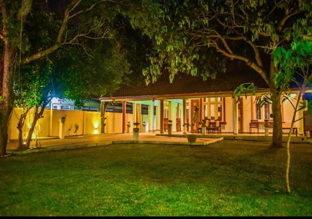 Ace Boutique Airport