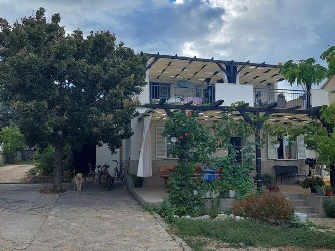 Apartments Paula - One Bedroom Apartment with Terrace 3