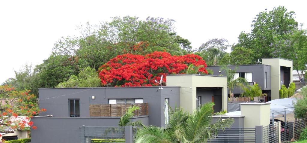 The Executive - Exclusive Self-Catering Apartments - Ezulwini