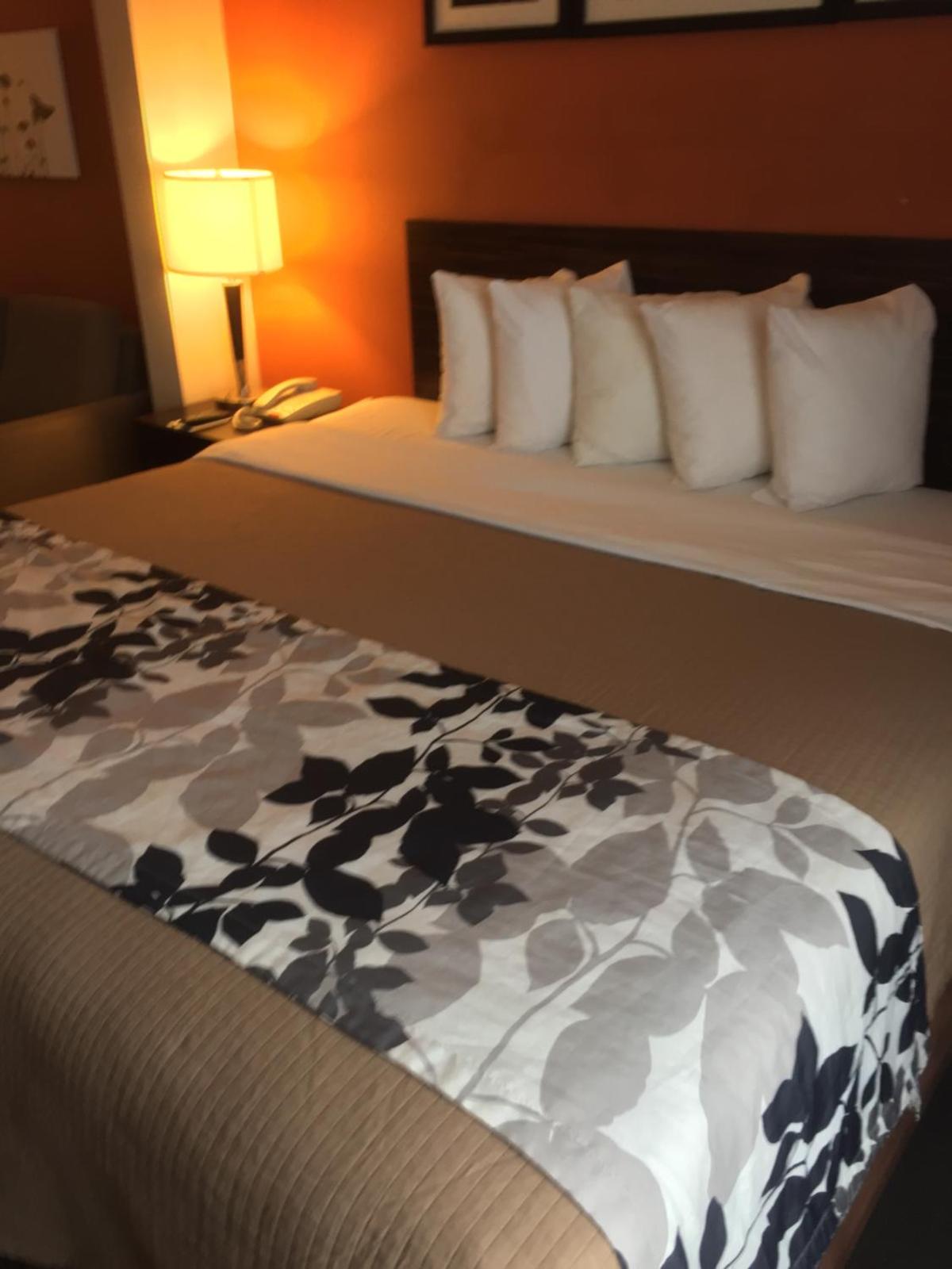 Sleep Inn & Suites East Chase