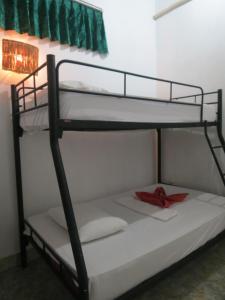 Giường trong Phòng ngủ tập thể cả Nam và Nữ 4 Người (Bed in 4-Bed Mixed Dormitory Room)