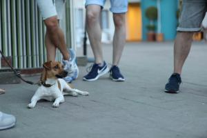 Hotel Ritual Torremolinos- Adults Only Hotel Ritual Torremolinos- Adults Only