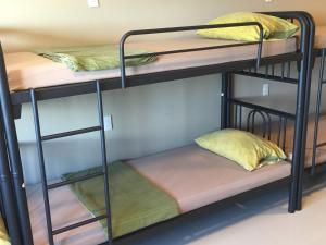 Giường Trong Phòng Ngủ Tập Thể 10 Giường Cho Cả Nam Lẫn Nữ (Bed in 10-Bed Mixed Dormitory Room)