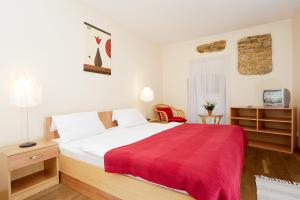 Double Room room in Hotel Stary Pivovar