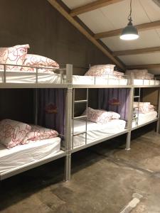 1 Người trong Phòng Tập Thể 6 Giường - Chỉ cho Nữ (1 Person in 6-Bed Dormitory - Female Only)