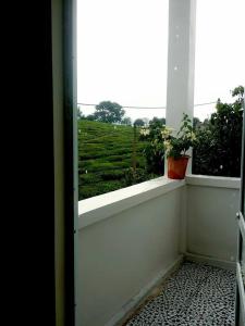Phòng Ngủ Tập Thể Cho Cả Nam Và Nữ (Mixed Dormitory Room)