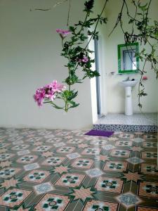 Phòng Ngủ Tập Thể Cho Cả Nam Và Nữ (Mixed Dormitory Room)