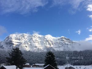 Haus Gmeiner Bizau Bizau Austria J2ski