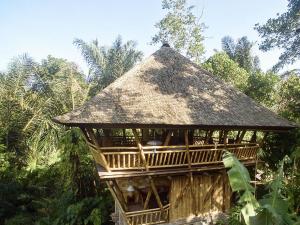 Harmony Tree House with Mountain View