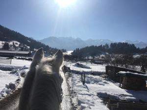 Boutique Ranch Bohinj