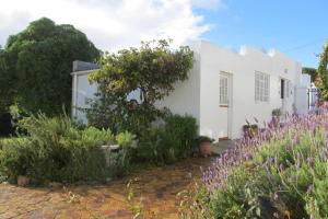 Studio with Sea View room in Bosky Dell on Boulders Beach