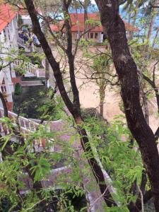 Bungalow Deluxe Nhìn Ra Biển (Deluxe Bungalow with Sea View)