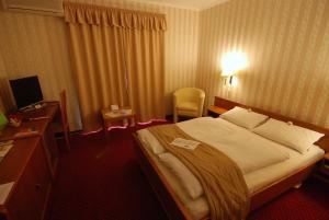 Single Room room in Hotel Amadeus