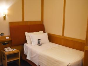 Standard Single Room room in Best Western Hotel President