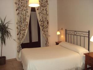 Hostal Fenix Hostal Fenix
