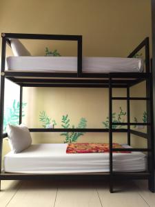 Giường Tầng Trong Phòng Ngủ Tập Thể Cho Nữ (Bunk Bed in Female Dormitory Room )