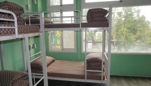Giường Trong Phòng Ngủ Tập Thể Cho Cả Nam Và Nữ 6 Giường (Bed in 6-Bed Mixed Dormitory Room)