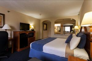 King Room - Non-Smoking room in Downtowner Inn and Suites - Houston