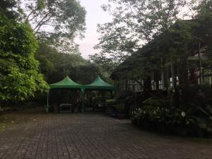 Phòng 4 người Nhìn ra cảnh Núi non (Quadruple Room with Mountain View)