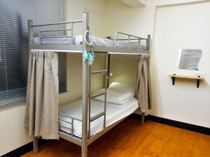 Phòng Ngủ Tập Thể 4 Giường Cho Cả Nam Và Nữ (4-Bed Mixed Dormitory Room)