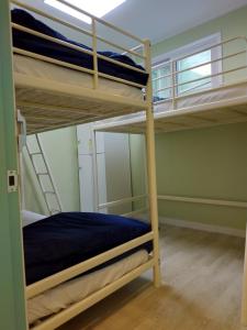 Phòng ngủ Tập thể Nữ 4 giường (4-Bed Female Dormitory Room)