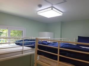 Giường trong phòng ngủ tập thể nam 6 người (Bed in 6-Bed Male Dormitory Room)